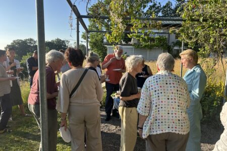 Aperitif in der Pergola