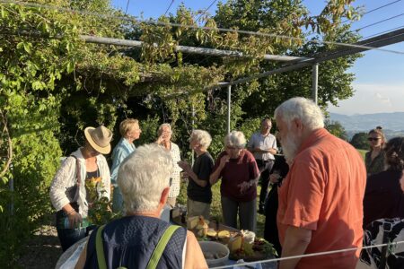 Aperitif in der Pergola